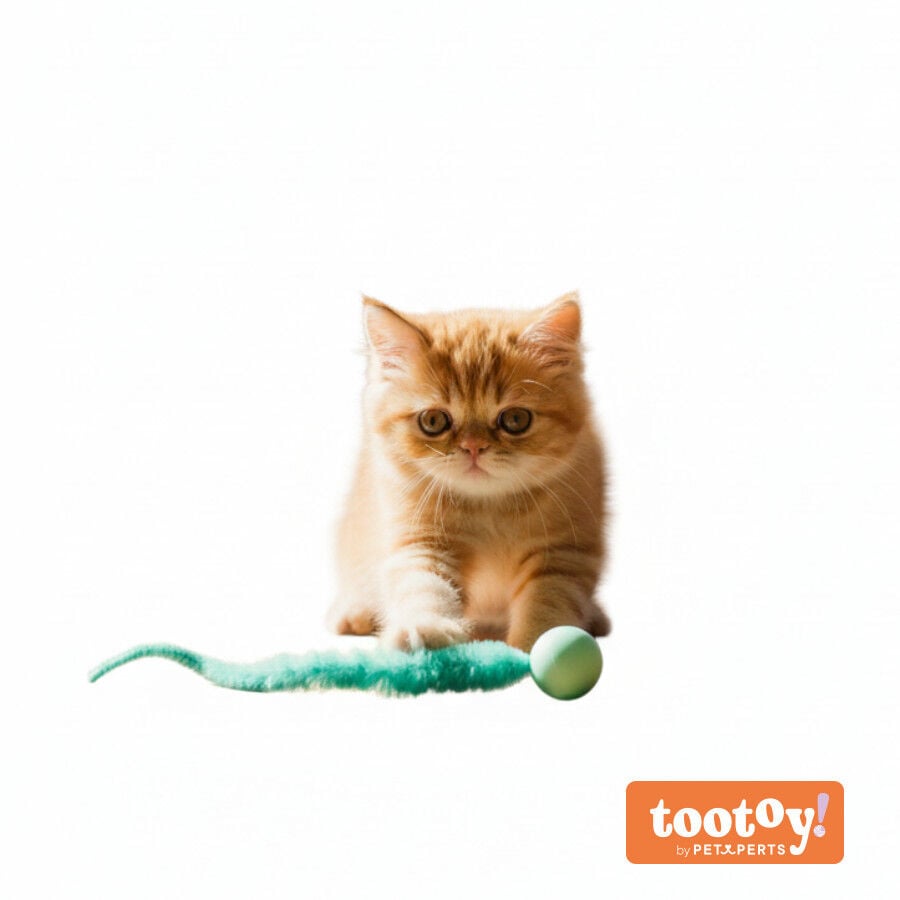 Tootoy! Pelota Interactiva con Cola Verde para gatos, , large Imagen numero 9